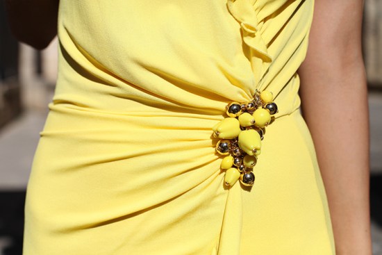 BlumarineDress_detail