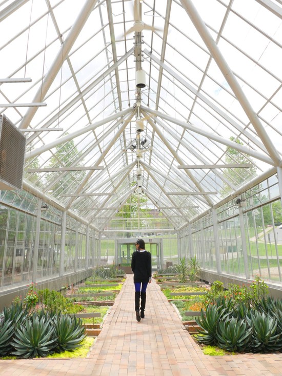 cowles conservatory minneapolis